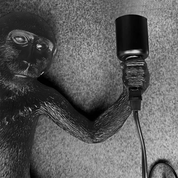 Детайлно изображение на Декоративен стенен аплик Monkey | Маймуна | 4W | 2800K | E27 Снимка на Декоративен стенен аплик Monkey | Маймуна | 4W | 2800K | E27