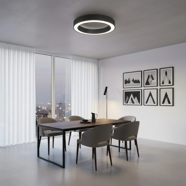 Детайлно изображение на Кръгла LED плафониера Daylight | Бял светлинен пръстен | ⌀60/80cm Снимка на Кръгла LED плафониера Daylight | Бял светлинен пръстен | ⌀60/80cm