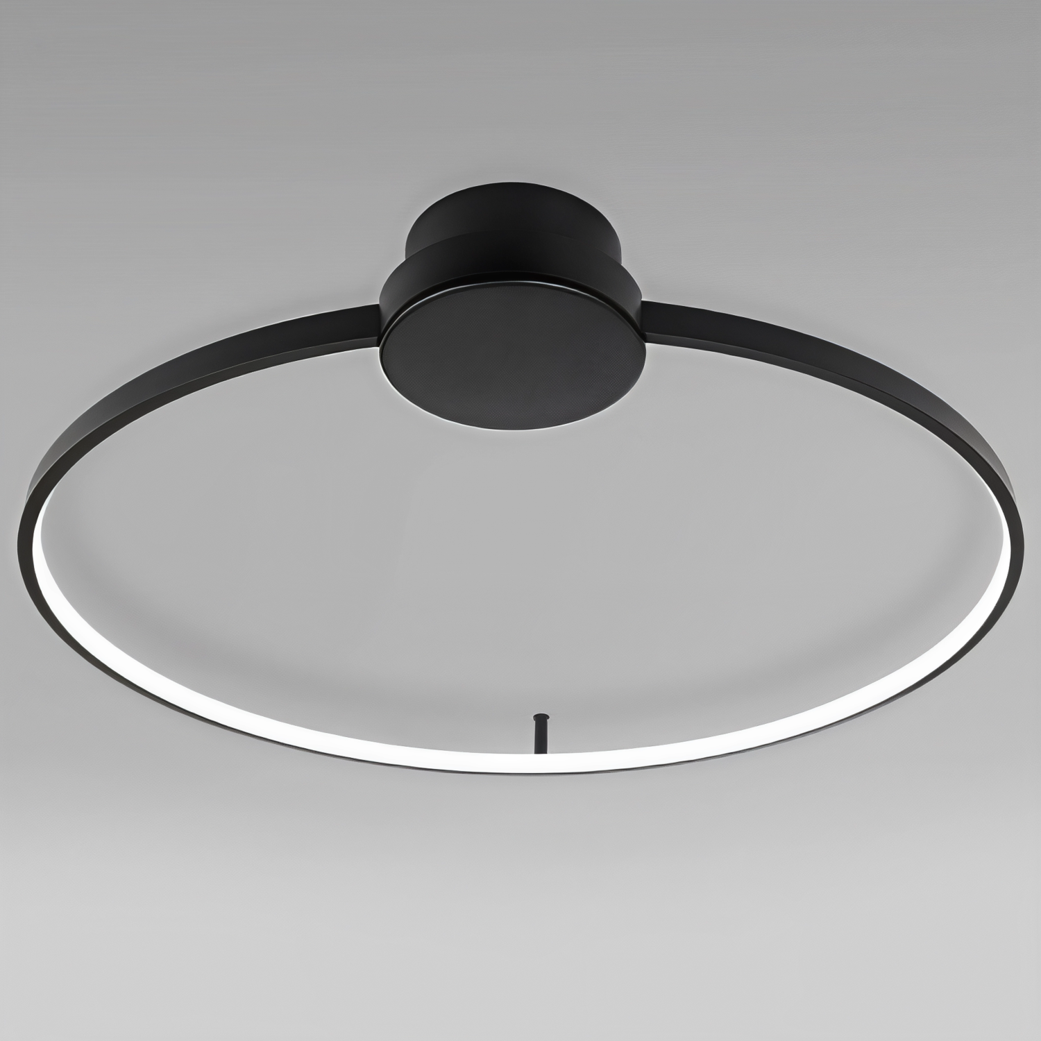 Снимка на Кръгла дизайнерска плафониера за таван Lorena тип пръстен | 3000K