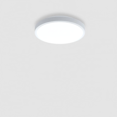 Кръгла LED плафониера Miracle | CCT 3000К-4000K | IP44 