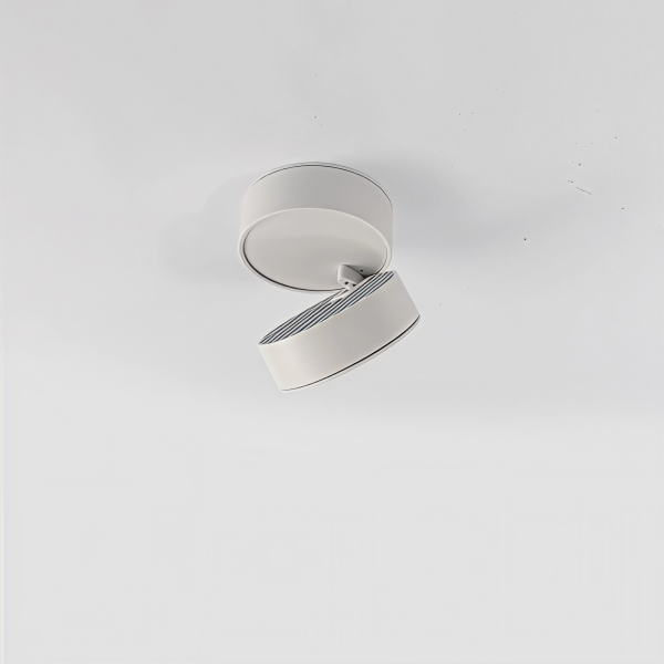 Снимка на LED луна за открит монтаж Ronda | Регулируема | 12W | 3000K