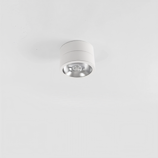 Детайлно изображение на LED луна за открит монтаж Ronda | Регулируема | 12W | 3000K Снимка на LED луна за открит монтаж Ronda | Регулируема | 12W | 3000K
