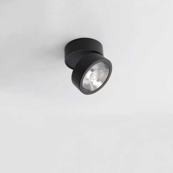 Детайлно изображение на LED луна за открит монтаж Ronda | Регулируема | 12W | 3000K Снимка на LED луна за открит монтаж Ronda | Регулируема | 12W | 3000K