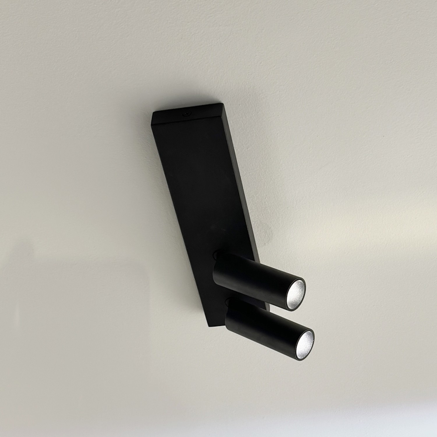 Снимка на LED спот за външен монтаж Dodo | Насочваем | 2x6W | 3000K