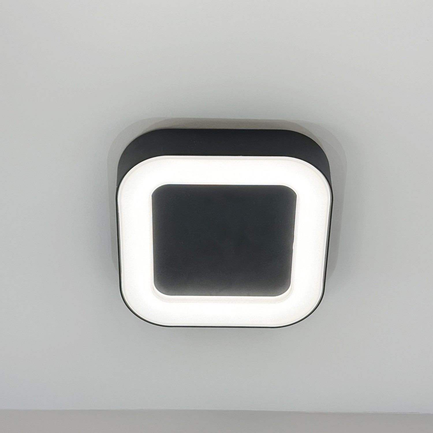 Снимка на Фасадна квадратна плафониера Norma C | 12W | IP65 | 3000K