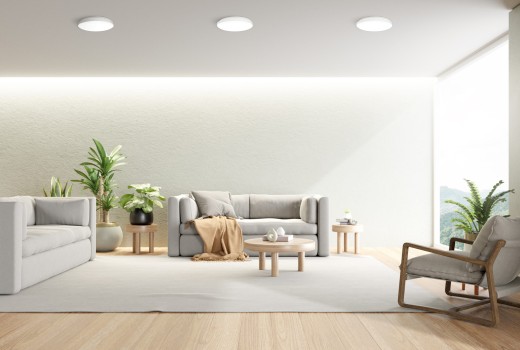 За какво да внимаваме при покупка на таванна лампа?