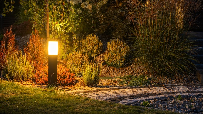 Какво LED осветление подхожда за терариум с растения?