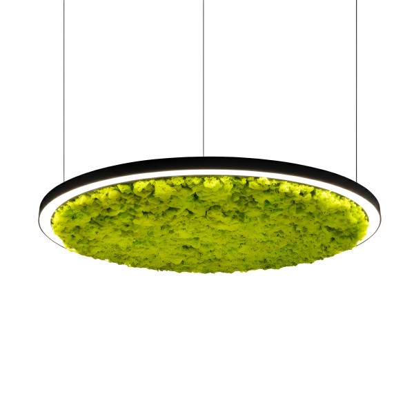 Снимка на Акустична висяща LED лампа Cool Moss | Скандинавски мъх | 6 цвята