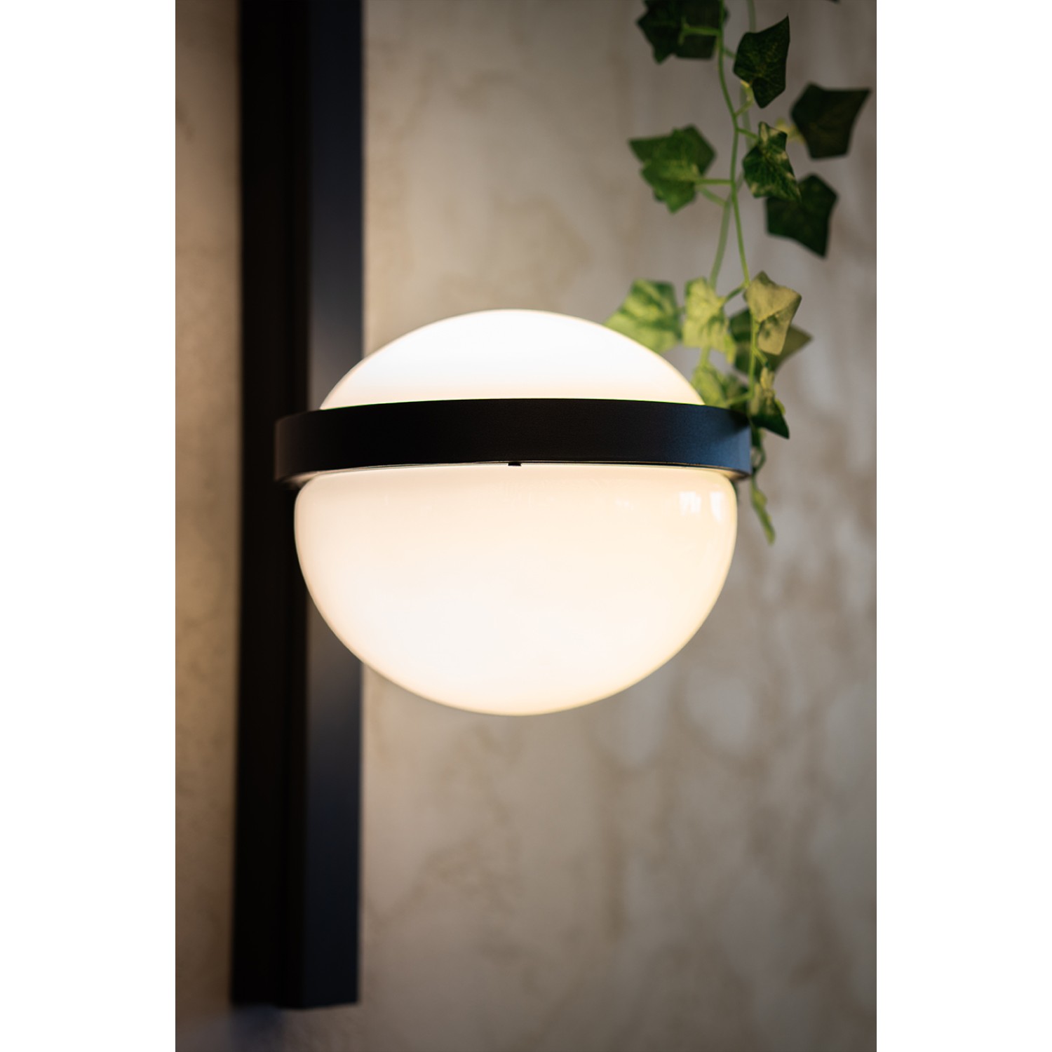 Стенен LED аплик Astro Pot Wall | Поставка за растение | 12W | Черен | 3000K