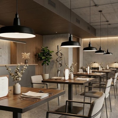 Висящ пендел Loft | Индустриален дизайн | Черен |  Ø41cm | IP20 | E27