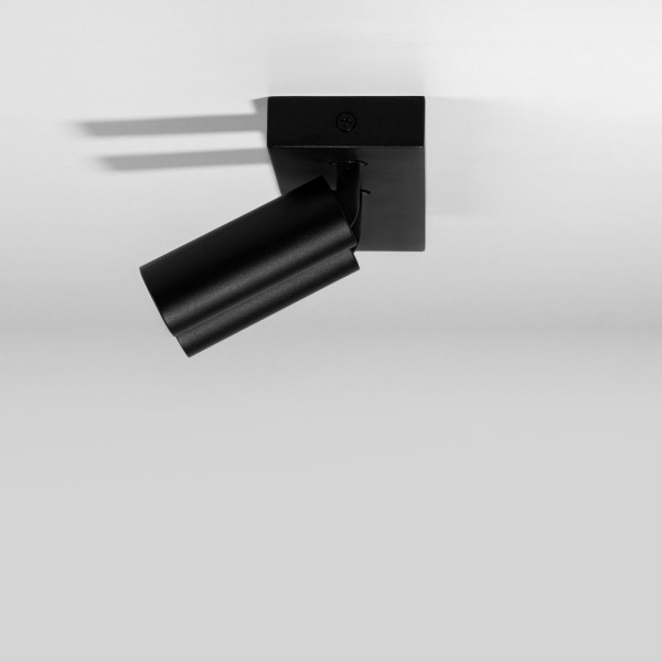 Снимка на LED спот за външен монтаж Dodo | Насочваем | 2x6W | 3000K