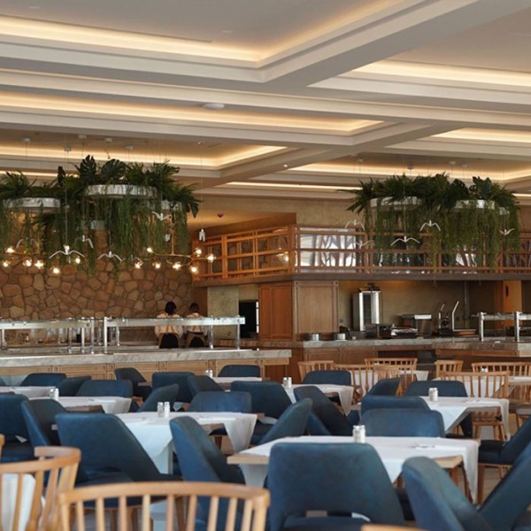 Снимка на LED лента Philips LS155 5.5W/m | IP20 | 60 LED/m | 24V | 5 метра | 3000K/4000K