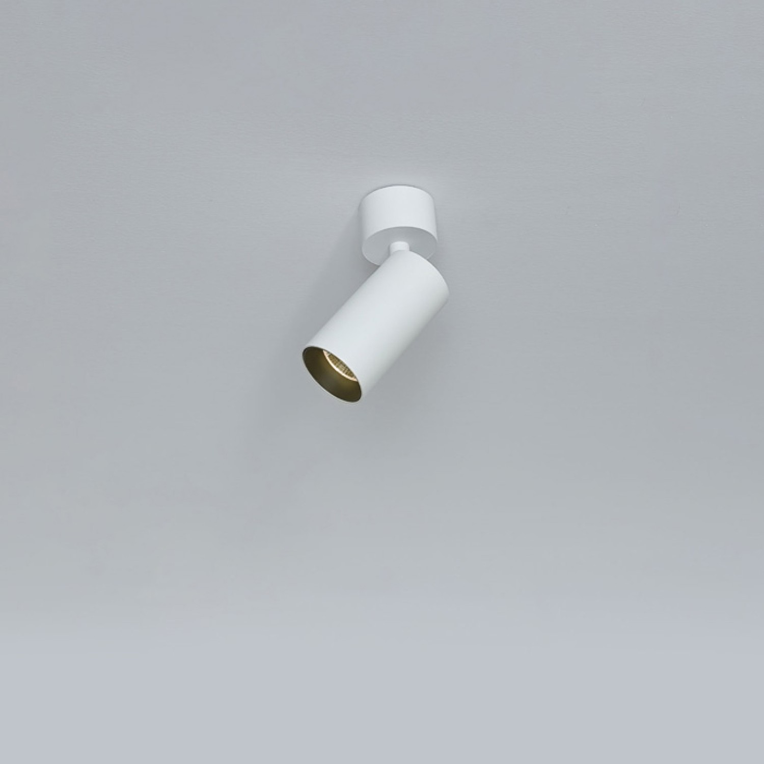 Снимка на LED спот за външен монтаж Roll | Насочваем | 3000K | 8W